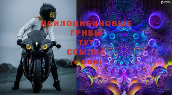 гидропоника Бородино