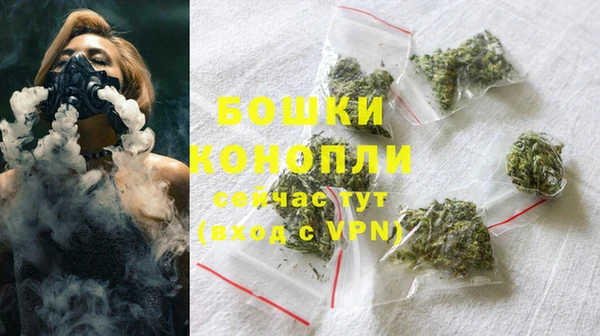 сатива Бронницы