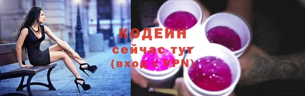 гидропоника Бородино
