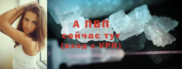 гидропоника Бородино