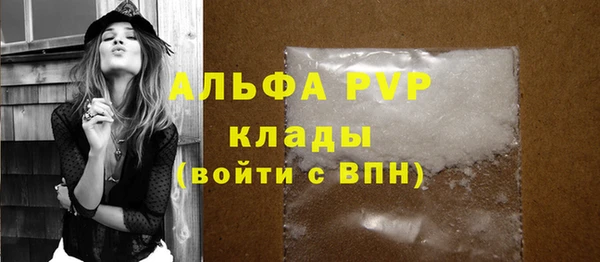 сатива Бронницы