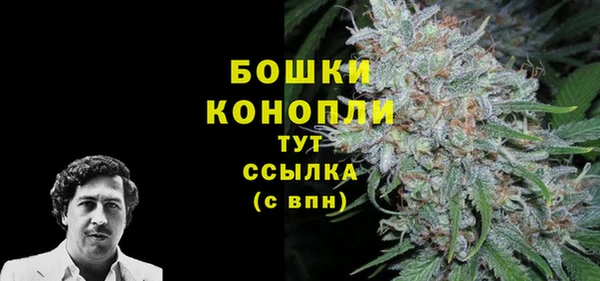 сатива Бронницы