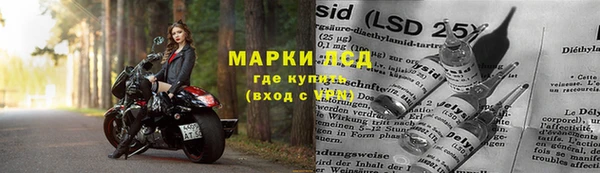 гидропоника Бородино
