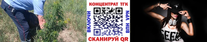 Дистиллят ТГК вейп  ОМГ ОМГ ТОР  Кирс 