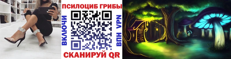 Галлюциногенные грибы Cubensis  купить закладку  Кирс 